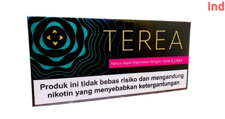 Стики Terea Emerald edition мягкий табак с зелёными фруктами и гвоздикой (Индонезия) (блок - 10 пачек)